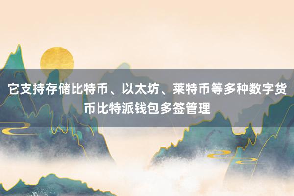 它支持存储比特币、以太坊、莱特币等多种数字货币比特派钱包多签管理