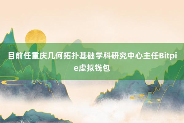 目前任重庆几何拓扑基础学科研究中心主任Bitpie虚拟钱包