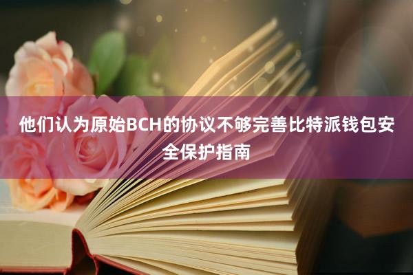 他们认为原始BCH的协议不够完善比特派钱包安全保护指南